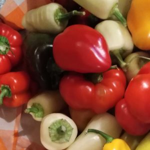 Poivrons « Verts » – 200Gr