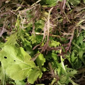 Mesclun Aromatique – 200 Gr