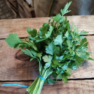 Persil plat Frais – Bouquet