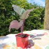 Plant Chou Rave Violet