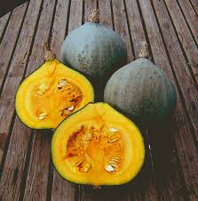 Courge Potimarron Blue Ballet- 0,800Kg environ