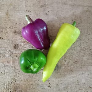 Poivrons « Verts » – 200Gr