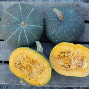 Courge Potimarron Green Hokkaido – 0,400Kg